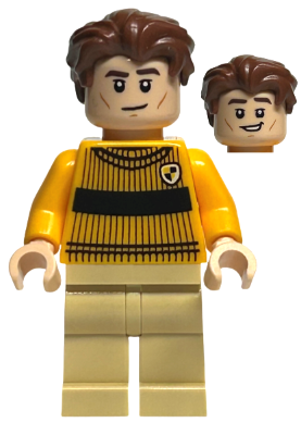 Cedric Diggory - Quidditch Sweater (hp405)