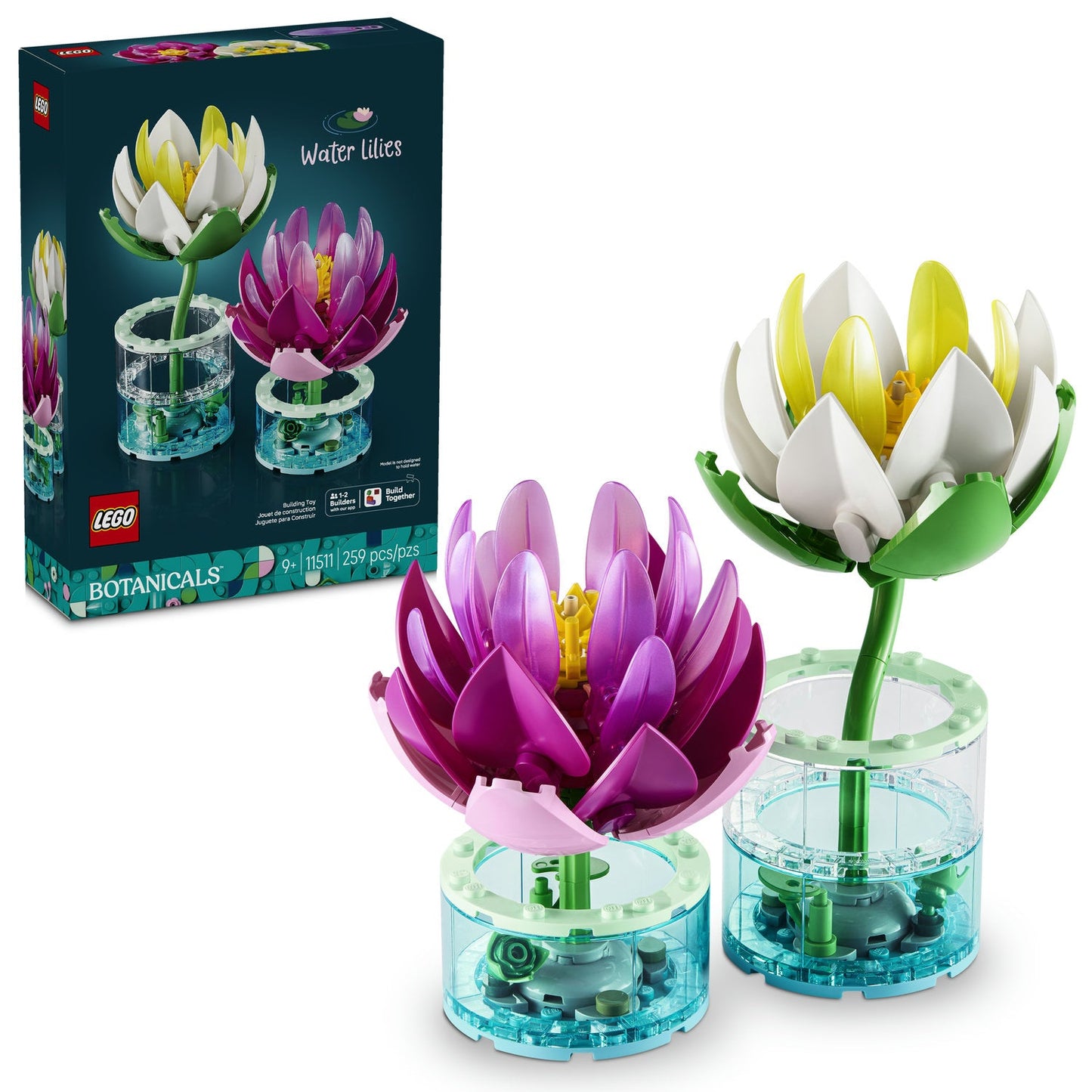 11511 Water Lilies