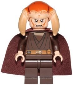 Saesee Tiin - Dark Brown Robe, Cape (sw0420)