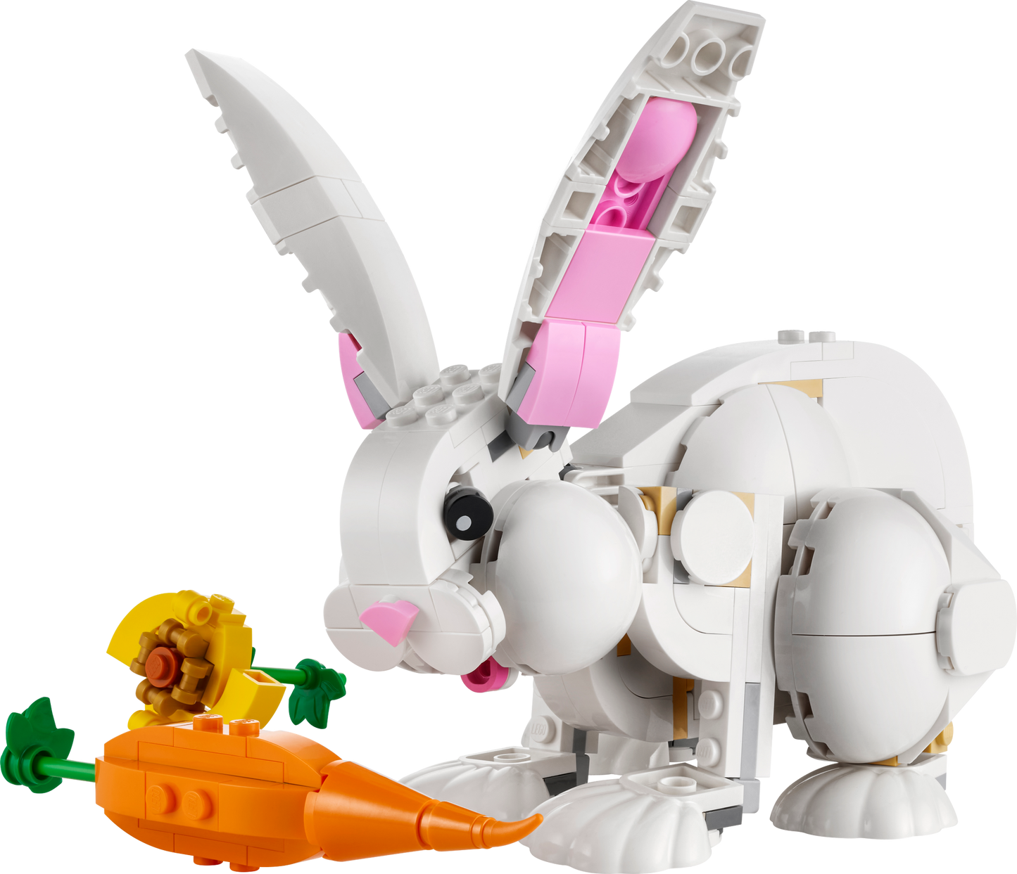 31133 White Rabbit