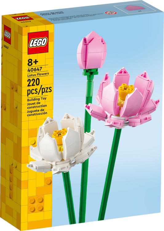 40647 Lotus Flowers
