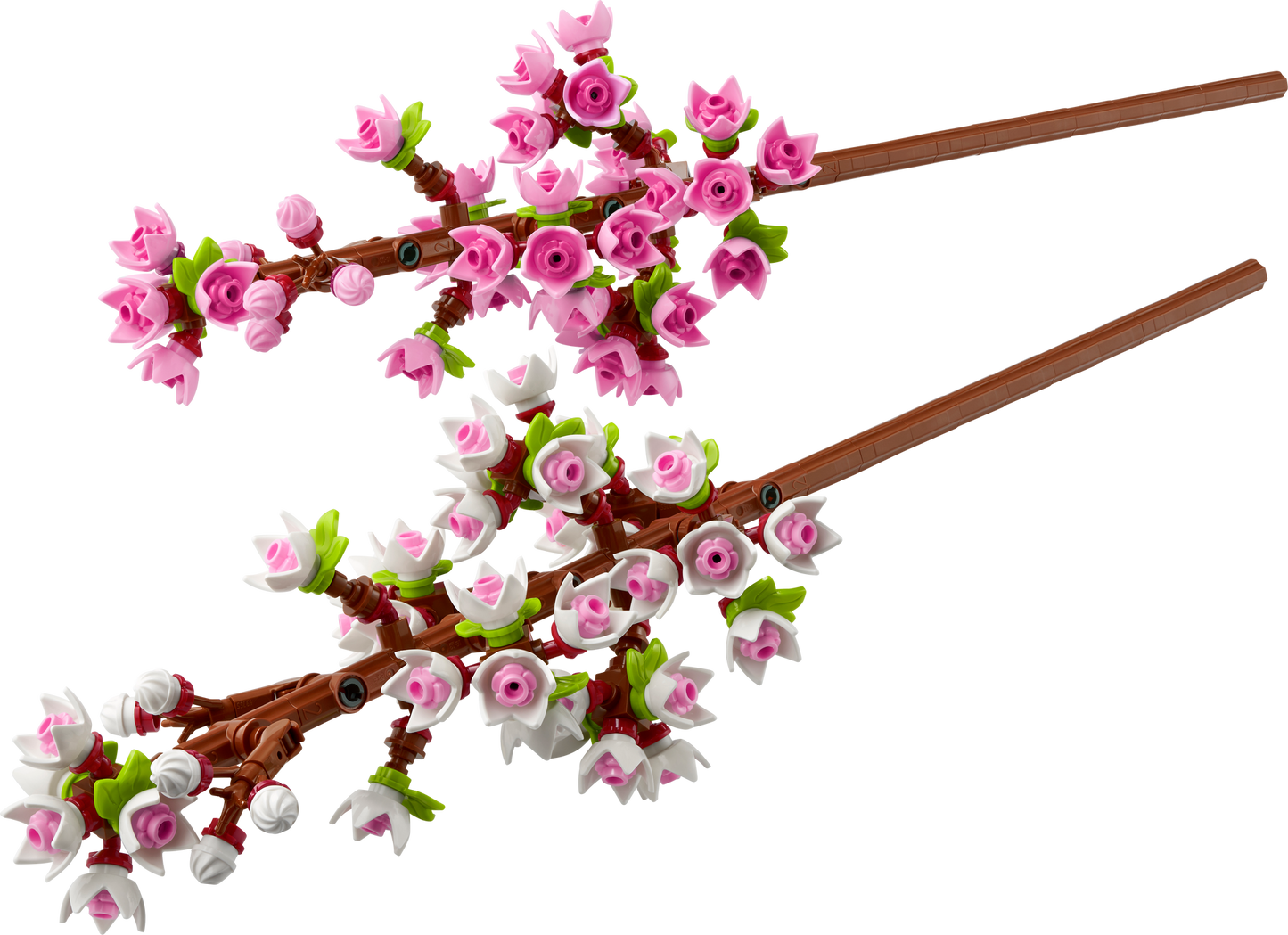 40725 Cherry Blossoms