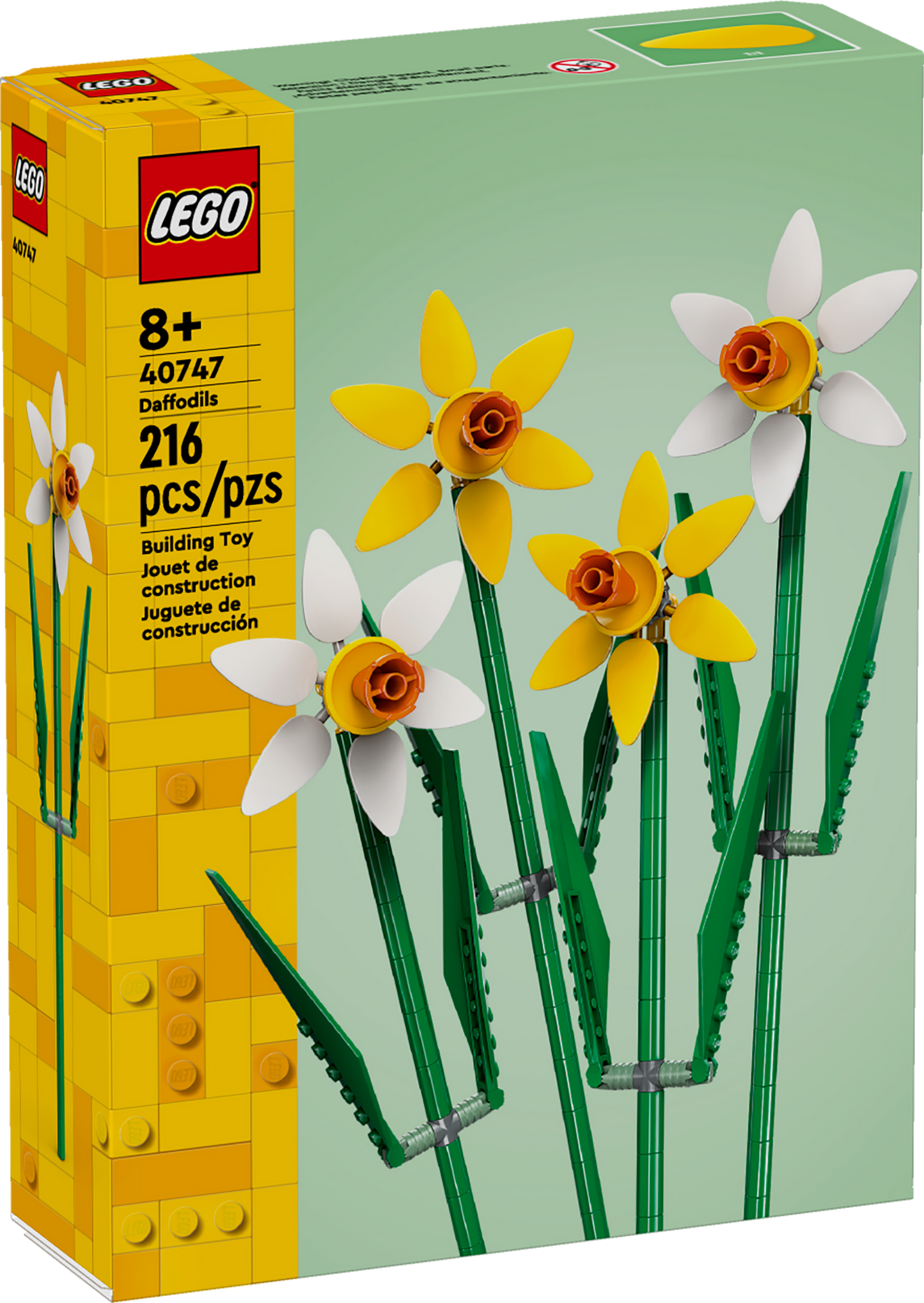 40747 Daffodils