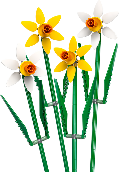 40747 Daffodils