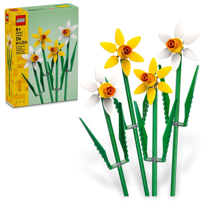 40747 Daffodils