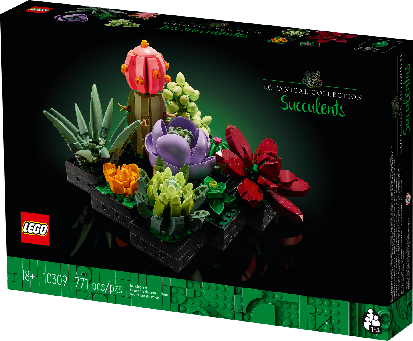 10309 Succulents