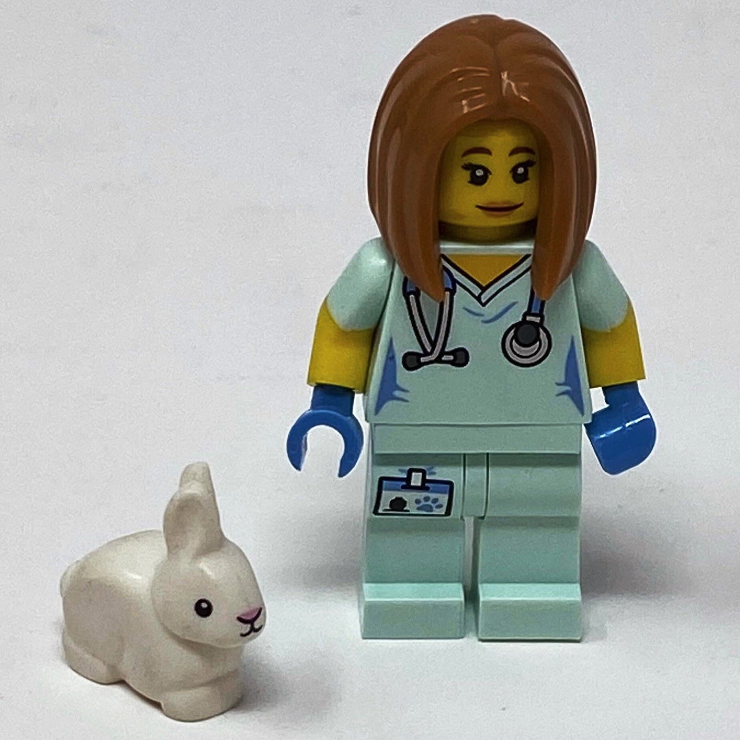 S17 Veterinarian - Series 17 Minifigure (col290)